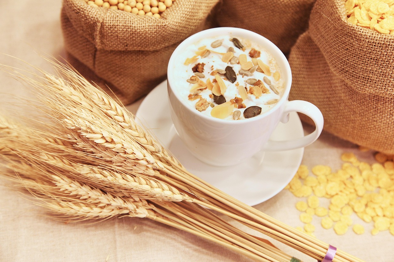 9 Menu Sarapan untuk Diet Sehat Tanpa Ribet