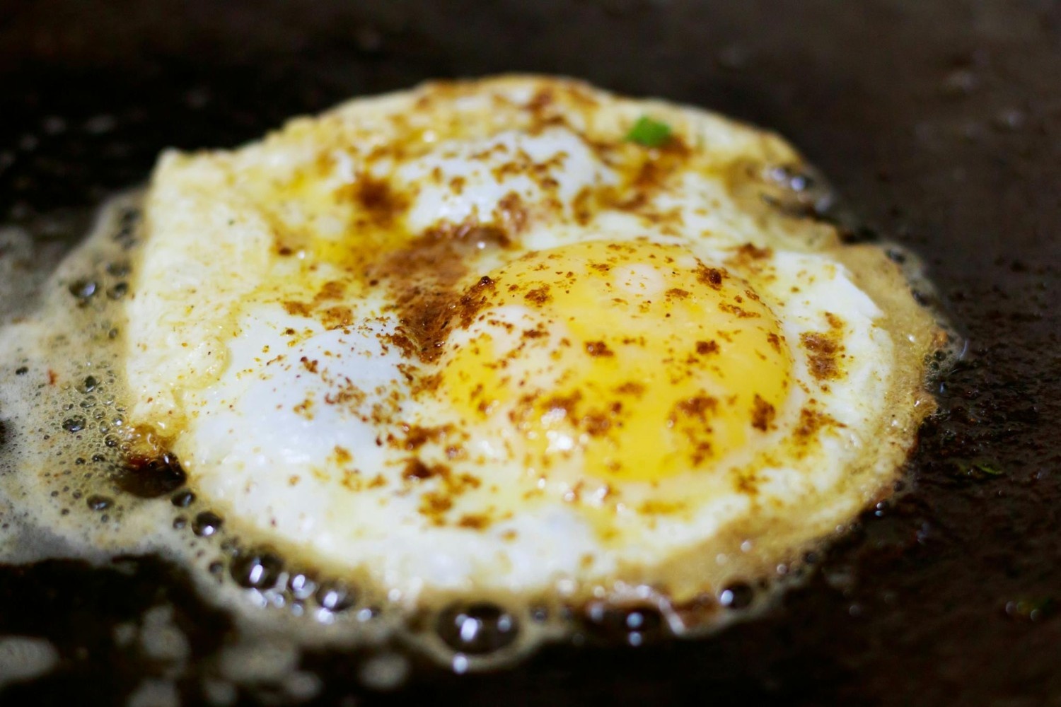 10 Perbedaan Telur Ayam Kampung dan Telur Ayam Ras