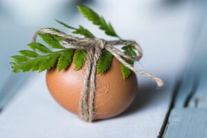 10 Perbedaan Telur Ayam Kampung dan Telur Ayam Ras