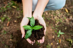 7 Cara Anak Muda Bisa Jadi Generasi Peduli Alam Mulai dari Hal Kecil