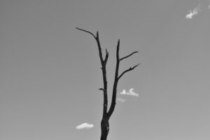 5 Tanda Perusahaan Toxic yang Harus Diwaspadai Saat Interview