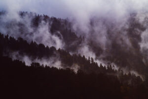 5 Perbedaan Antara Kabut, Embun, dan Awan yang Sering Dianggap Sama