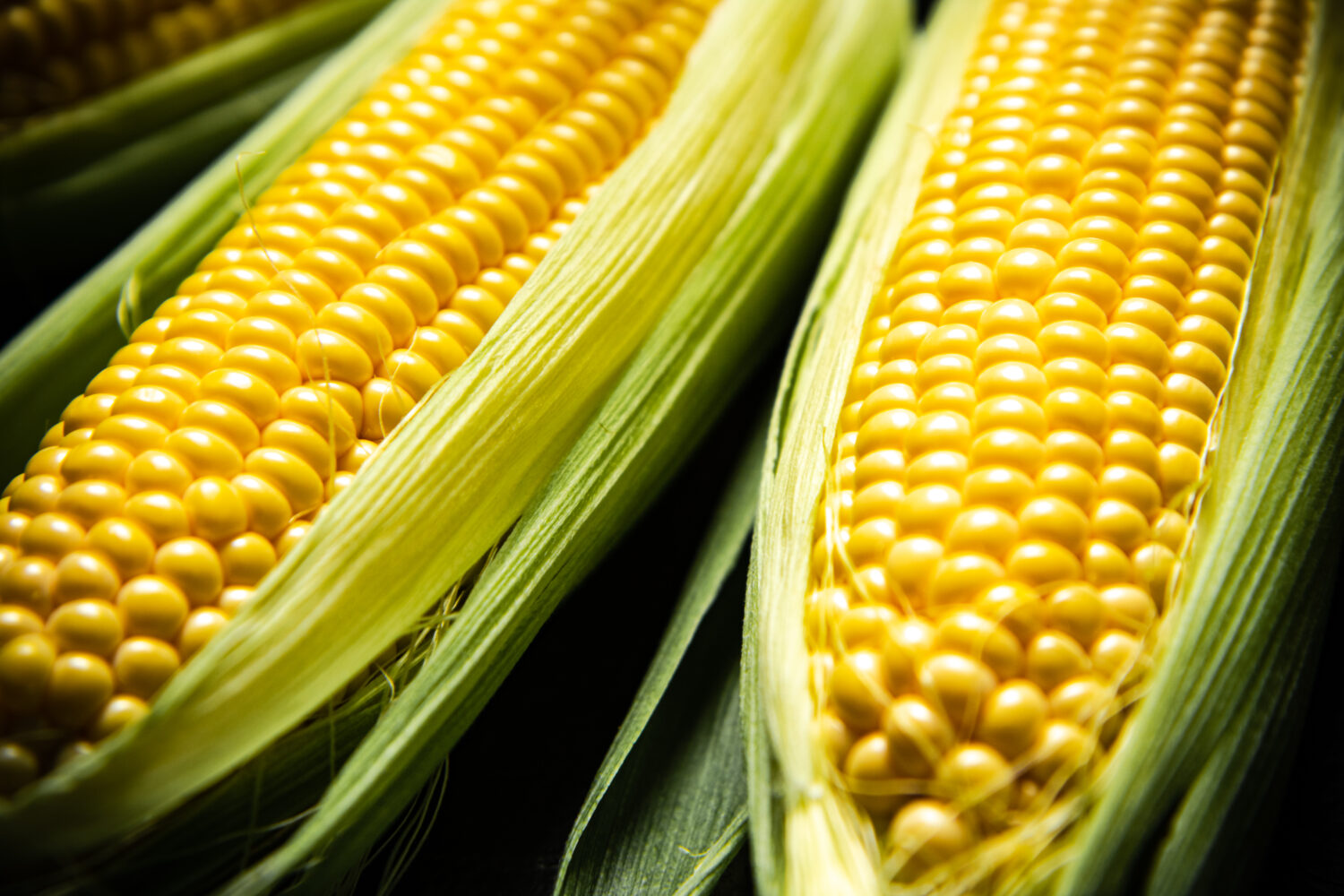 7 Resep Olahan Jagung Kreatif untuk Menyambut Ramadan