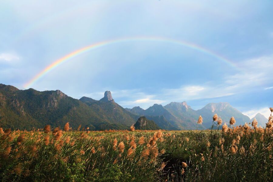 7 Penjelasan Ilmiah di Balik Fenomena Pelangi yang Indah