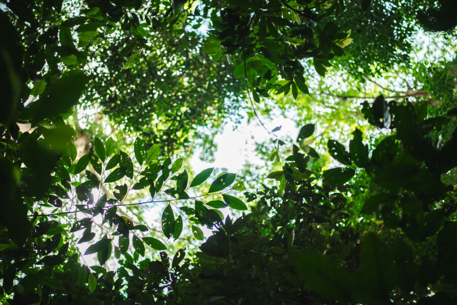 8 Manfaat Mengetahui Pengetahuan Alam bagi Rasa Syukur dan Kekaguman pada Ciptaan