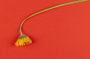 10 Hal yang Bisa Dilakukan saat Merasa Tidak Dihargai oleh Orang Terdekat