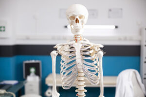 9 Fakta tentang Tubuh Manusia yang Mungkin Belum Kamu Tahu