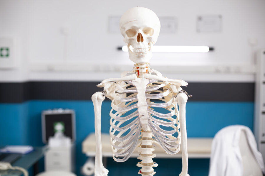 9 Fakta tentang Tubuh Manusia yang Mungkin Belum Kamu Tahu