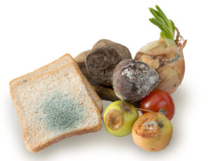 6 Tanda Makanan Sudah Basi